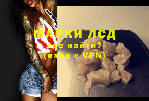шишки Слюдянка
