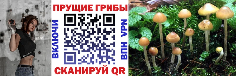 Псилоцибиновые грибы MAGIC MUSHROOMS  Кола 